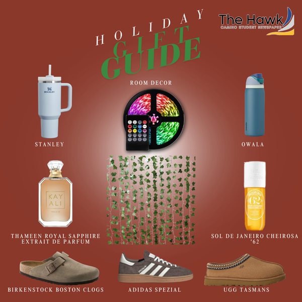What’s in Santa’s bag? Gifts for Camino students this Christmas