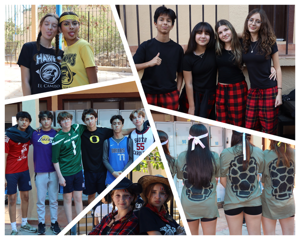 HAWK SPIRIT SOARS HIGH